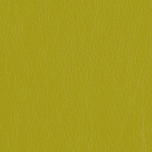 Tier 2 Caressa Vinyl - Lime