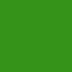 Extra-light-green-369.jpg