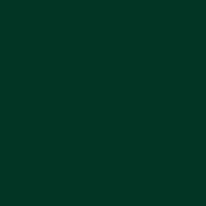 Rainforest-RQ.jpg